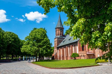 Kaliningrad, Rusya - 31 Mayıs 2021: Konigsberg Katedrali açık bir yaz gününde