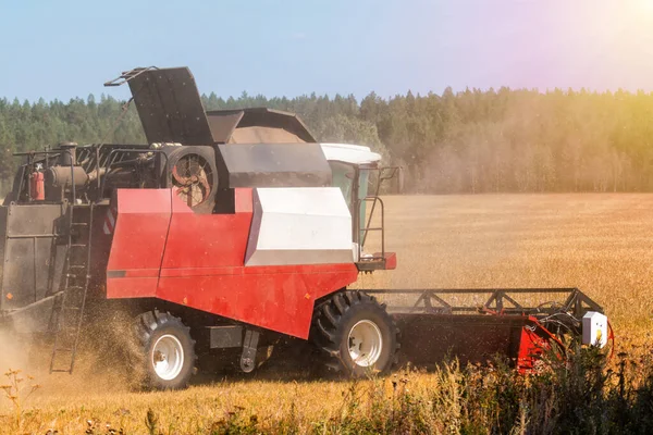 Moderne Mähdrescher Arbeiten Einem Klaren Sonnigen Tag Auf Dem Feld — Stockfoto