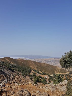 Sıcak güneş ışığıyla aydınlatılan yuvarlanan çayırlar, ön planda meşe ağaçları ve açık mavi gökyüzüne doğru yükselen uzak tepeler..