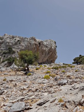 Devasa bir kaya, berrak, bulutsuz bir gökyüzüne, engebeli yüzeyine ve jeolojik formunu ve minimum, dramatik kontrastı ön plana çıkaran sert bir şekilde yükselir..
