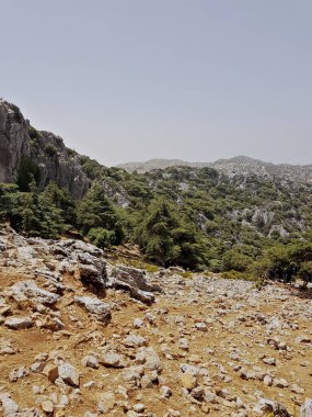 Güneş, meşe ve sedir ağaçlarıyla kaplı olduğu için dağı aydınlatırken, önü de küçük kayalarla benekli çorak topraklara açılıyor. Gün ışığı yeşil ağaçları vurgular ve solmuş otları.