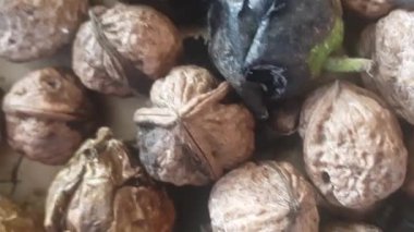 Tüm bir ceviz hasat sonra yakın çekim; ceviz hala doğal sert kabuk tutar, belirgin dokusu ve zengin toprak renkleri vurguluyor.