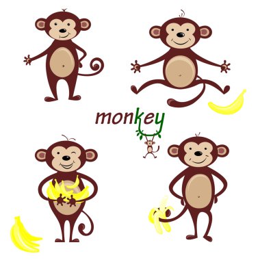 Sevimli komik maymun .