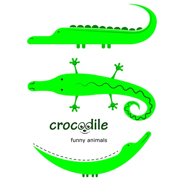 Set. Crocodiles illustration — Stock Vector