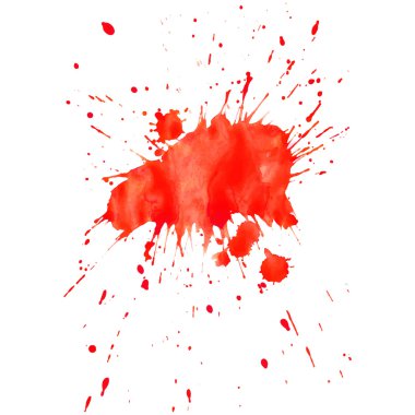 Beyaz arkaplanda suluboya çizimi.