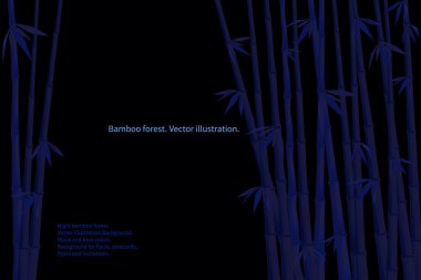 Gece bambu ormanı