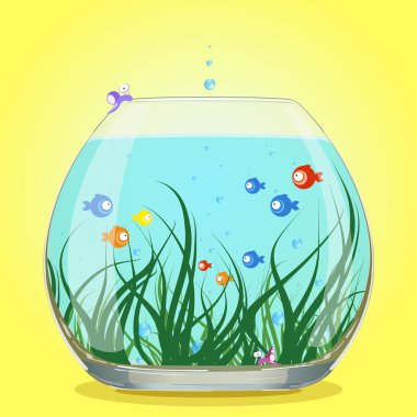 Akvaryum balık su renkli