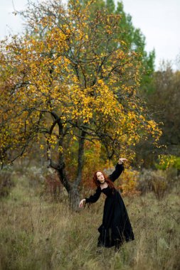 Eskimiş siyah elbiseli kızıl saçlı kadın mistik sonbahar doğası gereği uzun boylu ağaçlar, yabani dikenler ve büyüleyici düşüş atmosferi arasında zarif gotik bir şekilde poz veriyor..