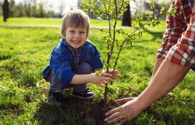 küçük çocuk babasına ağaç dikmek için yardım