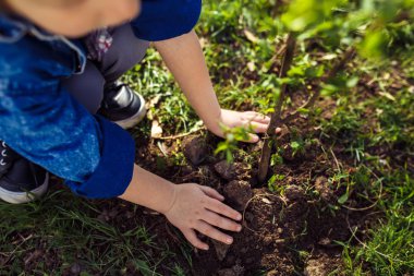küçük çocuk babasına ağaç dikmek için yardım