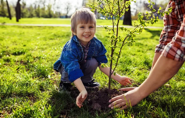 Petit garçon aidant son père à planter l'arbre — Photo