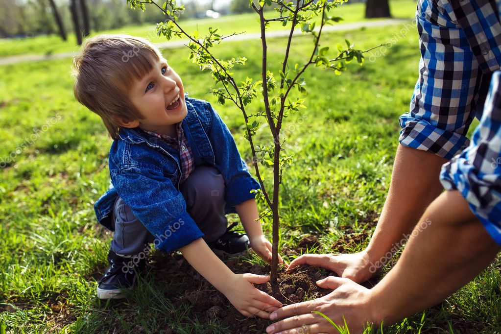 My new tree. Посадка деревьев. Дети и природа. Дети сажают деревья. Дерево для детей.