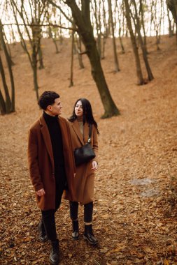 Birbirine aşık genç bir çift, bir sonbahar gününde el ele tutuşup ormanda yürüyorlar. Parkta sonbahar havasının tadını çıkaran şık bir çift. Gençlik, aşk, özgürlük kavramı.