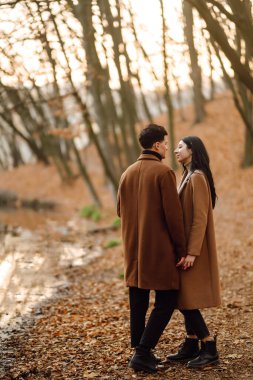 Birbirine aşık genç bir çift, bir sonbahar gününde el ele tutuşup ormanda yürüyorlar. Parkta sonbahar havasının tadını çıkaran şık bir çift. Gençlik, aşk, özgürlük kavramı.
