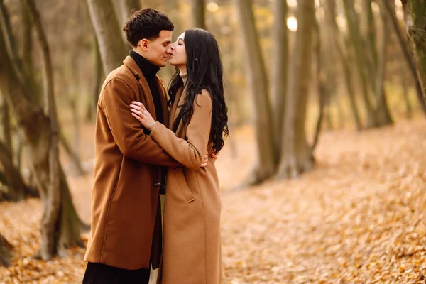 恋人同士で手を取り合い 秋の日に森の中を歩くカップル 公園で秋の天気を楽しむ美しいスタイリッシュなカップル 自由の概念 — ストック写真