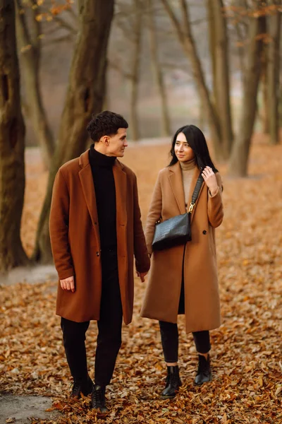 Young Couple Love Holding Hands Walking Forest Autumn Day Beautiful — Stock Photo, Image