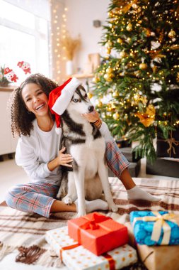 Güzel bir kadın yılbaşı ağacının yanında oturmuş köpeğiyle oynuyor ve eğleniyor. Genç bayan kırmızı Noel şapkasıyla köpeğine sarılıyor. Kış tatili Etrafta ışık.