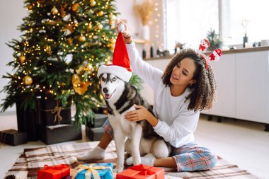 Güzel bir kadın yılbaşı ağacının yanında oturmuş köpeğiyle oynuyor ve eğleniyor. Genç bayan kırmızı Noel şapkasıyla köpeğine sarılıyor. Kış tatili Etrafta ışık.