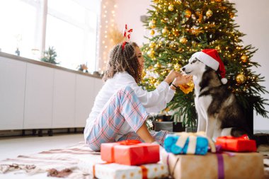 Güzel bir kadın yılbaşı ağacının yanında oturmuş köpeğiyle oynuyor ve eğleniyor. Genç bayan kırmızı Noel şapkasıyla köpeğine sarılıyor. Kış tatili Etrafta ışık.