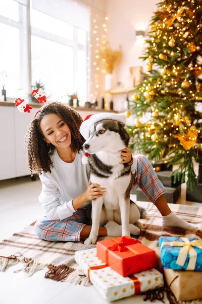 Beautiful Woman Playing Having Fun Her Dog While Sitting Christmas — Stock Photo, Image