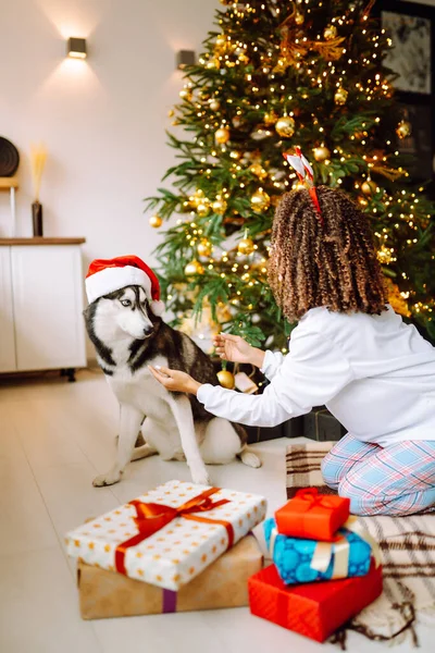 Beautiful Woman Playing Having Fun Her Dog While Sitting Christmas — Stock Photo, Image