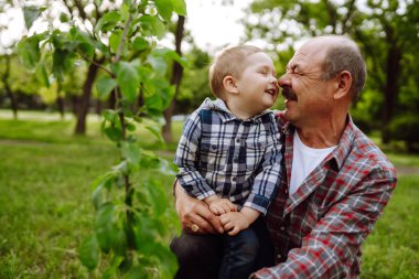 Dedem ve torunum güneşli bir günde parkta ağaç dikiyorlar. Soy ağacı dikiyorum. Eğlenceli küçük bahçıvan. Bahar konsepti, doğa ve bakım.