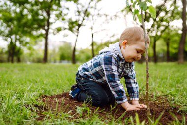 Eğlenceli küçük bahçıvan. Gülümseyen çocuk kara toprakta genç bir ağaç dikiyor. Soy ağacı dikiyorum. Bahar konsepti, doğa ve bakım.