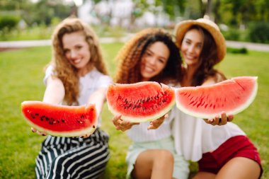Neşeli mutlu arkadaşlar çimlerin üzerinde kamp yapar, karpuz yer, gülerler. Üç genç kadın birlikte tatilin tadını çıkarıyor. İnsanlar, yaşam tarzı, seyahat, doğa ve tatil kavramı.