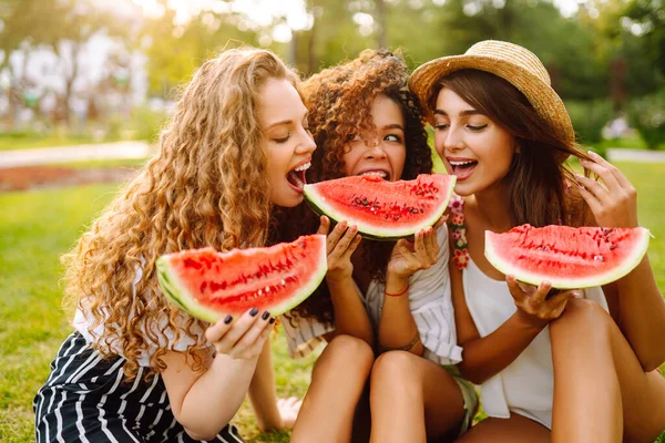 陽気幸せな友人は 芝生の上でキャンプ スイカを食べて 笑っている 3人の若い女性が一緒に休日をリラックスして楽しんでいます ライフスタイル 休暇の概念 — ストック写真