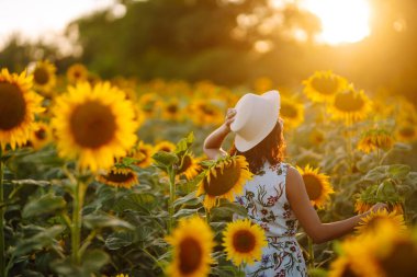 Genç bir kadın çiçek tarlasında yürüyor. Doğanın mutluluğu. Gün batımında elbise ve şapkayla ayçiçeği tarlasında poz veren güzel bir kadın. Yaz tatili, tatil, dinlenme ve yaşam tarzı..