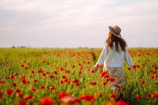 Bakåt Ung Lockig Kvinna Hatt Poserar Vallmofältet Natur Semester Avkoppling — Stockfoto