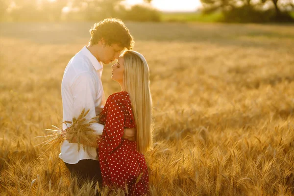 Ein Junges Glückliches Paar Das Sich Auf Einem Weizenfeld Sonnenuntergang — Stockfoto
