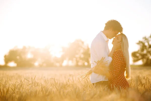 Young Happy Couple Hugging Wheat Field Sunset Enjoying Time Together — Zdjęcie stockowe