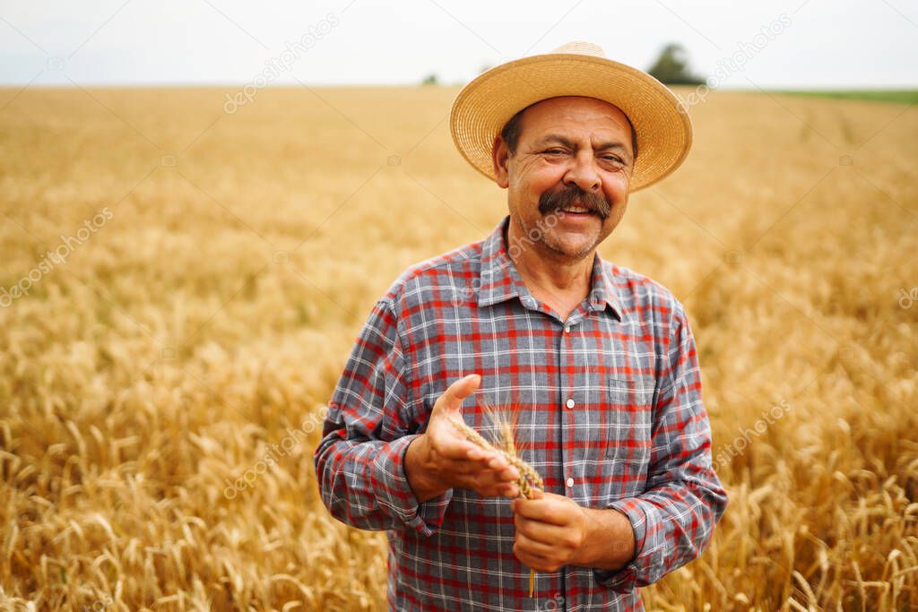 Farmer  in the hatstraw hat standing in a wheat field, looking at the crop. The concept of the agricultural business.