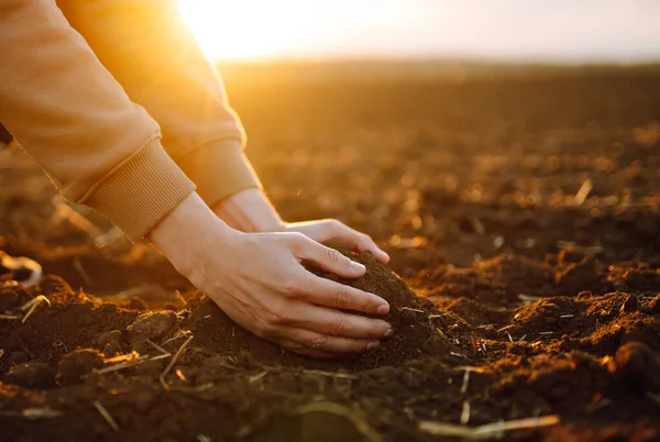 Mannelijke Handen Raken Grond Het Veld Landbouw Organische Tuinieren Aanplant — Stockfoto