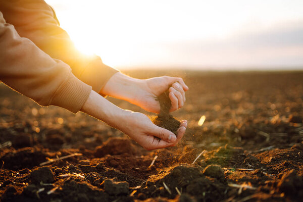 Male hands touching soil on the field. Agriculture, organic gardening, planting or ecology concept. Environmental, earth day.  Farmer checking before sowing.