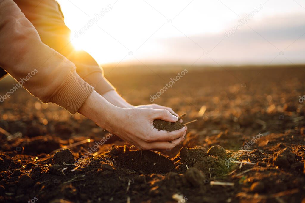 Male hands touching soil on the field. Agriculture, organic gardening, planting or ecology concept. Environmental, earth day.  Farmer checking before sowing.