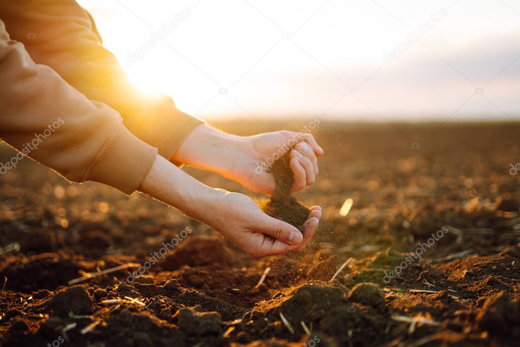 Male hands touching soil on the field. Agriculture, organic gardening, planting or ecology concept. Environmental, earth day.  Farmer checking before sowing.