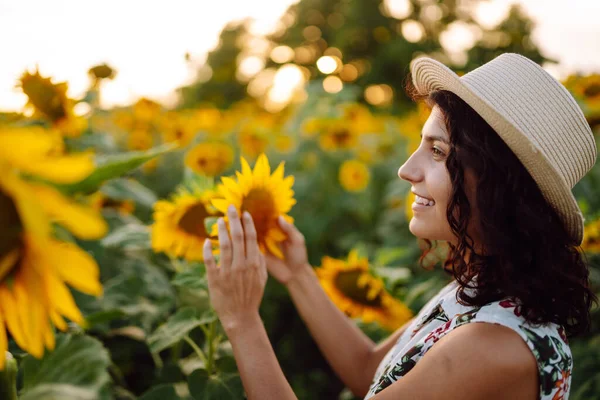 Young Woman Strolling Field Sunflowers Sunset Carefree Woman Walking Enjoying — Stok Foto