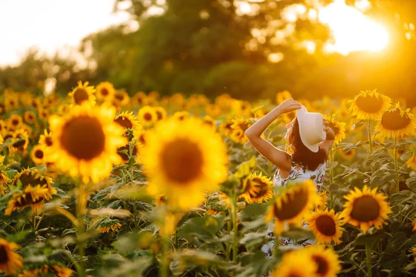 Young Woman Strolling Field Sunflowers Sunset Carefree Woman Walking Enjoying — Foto de Stock