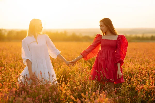 Portret Dwóch Jasnowłosych Dziewcząt Modnych Stylowych Sukienkach Kwitnącym Polu Natura — Zdjęcie stockowe