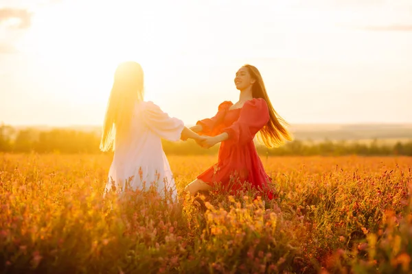 Portret Dwóch Jasnowłosych Dziewcząt Modnych Stylowych Sukienkach Kwitnącym Polu Natura — Zdjęcie stockowe