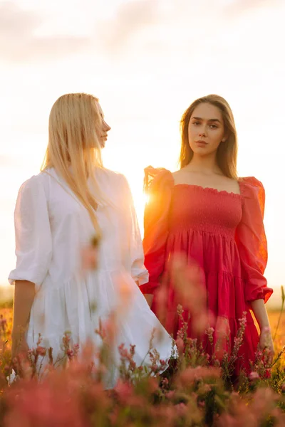 Portret Van Twee Blonde Meisjes Modieuze Stijlvolle Jurken Het Bloeiende — Stockfoto