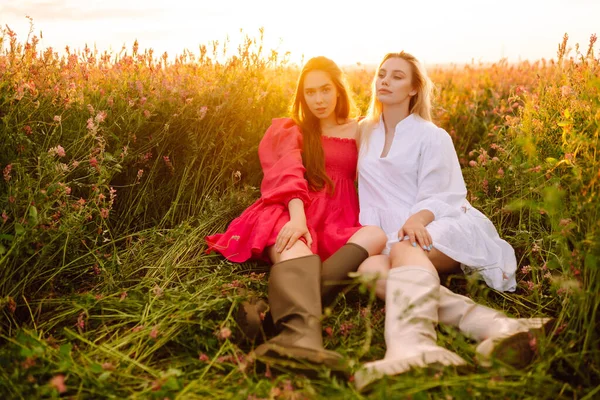 Портрет Двух Светловолосых Девушек Модных Стильных Платьях Цветущем Поле Природа — стоковое фото