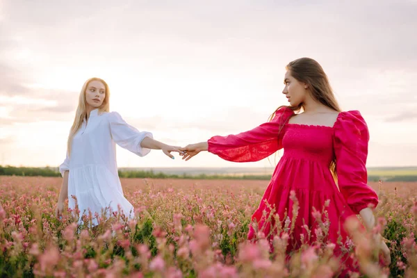 Portrait Two Fair Haired Girls Fashionable Stylish Dresses Blooming Field — Foto de Stock