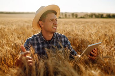 Modern tarım teknolojisi. Akıllı tarım konsepti. Çiftçi buğday tarlası işlemini kontrol ediyor, tableti internet kullanarak tutuyor.