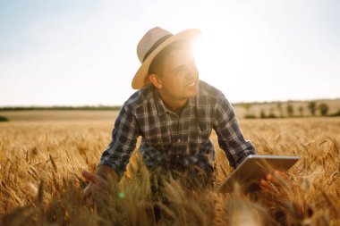 Modern tarım teknolojisi. Akıllı tarım konsepti. Çiftçi buğday tarlası işlemini kontrol ediyor, tableti internet kullanarak tutuyor.