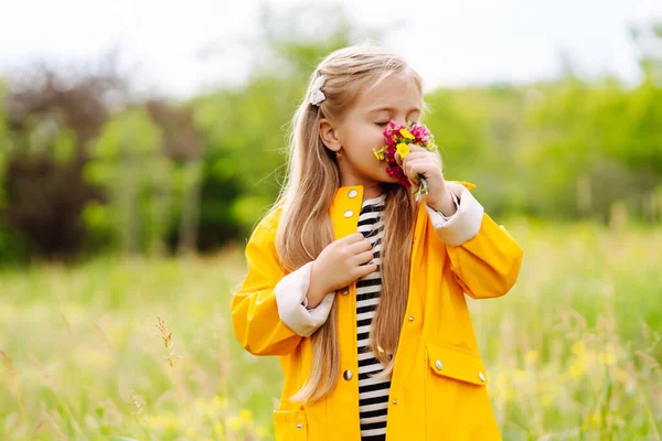 Bonita Menina Pegando Flores Silvestres Prado Uma Criança Explorar Natureza — Fotografia de Stock