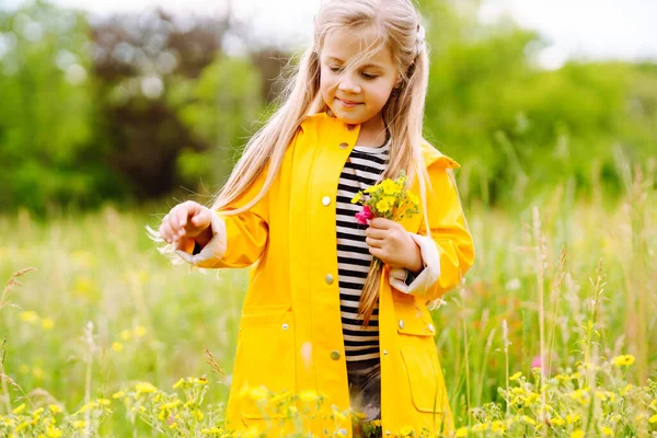 Bonita Menina Pegando Flores Silvestres Prado Uma Criança Explorar Natureza — Fotografia de Stock