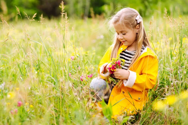 Мила Дівчинка Збирає Дикі Квіти Лузі Дитина Досліджує Природу — стокове фото